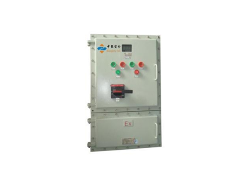 Explosion proof control system